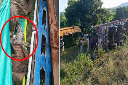 तेलंगाना में जंगली जानवरों को ले जा रहा ट्रक पलटा, दो मगरमच्छ सुरक्षित