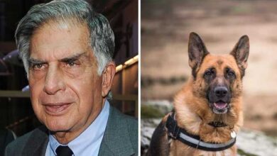 Ratan Tata की वसीयत: करोड़ों की संपत्ति में पालतू कुत्ते का भी खास हिस्सा!