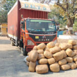 कोरबा में कंटेनर से 500 किलोग्राम गांजा बरामद