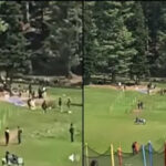 पहलगाम: पवार ने संसद के विशेष सत्र की कांग्रेस की मांग का समर्थन किया