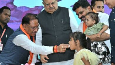 गोंचा महापर्व