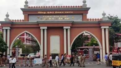 Stray Dog: मद्रास हाईकोर्ट भी आवारा कुत्तों के खिलाफ सख्त कदम उठा सकता है