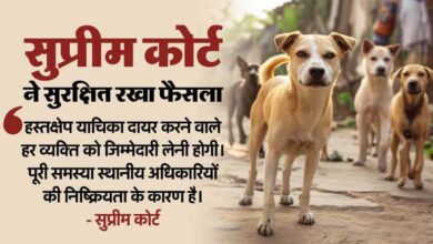 आवारा कुत्तों से जुड़े मामले