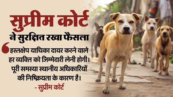 आवारा कुत्तों से जुड़े मामले