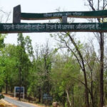 छत्तीसगढ़ में 17 ग्राम सभाओं ने बाघ अभयारण्य अधिकारियों पर बेदखली का आरोप लगाया