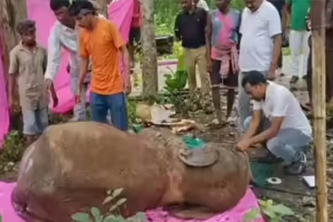 झारखंड: माओवादियों द्वारा किए गए आईईडी विस्फोट में घायल हाथी की मौत