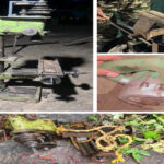 सुकमा में सुरक्षा बलों ने नक्सलियों का अवैध हथियार कारखाना नष्ट किया