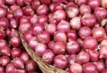 कांदा एक्सप्रेस प्याज