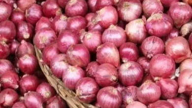 कांदा एक्सप्रेस प्याज
