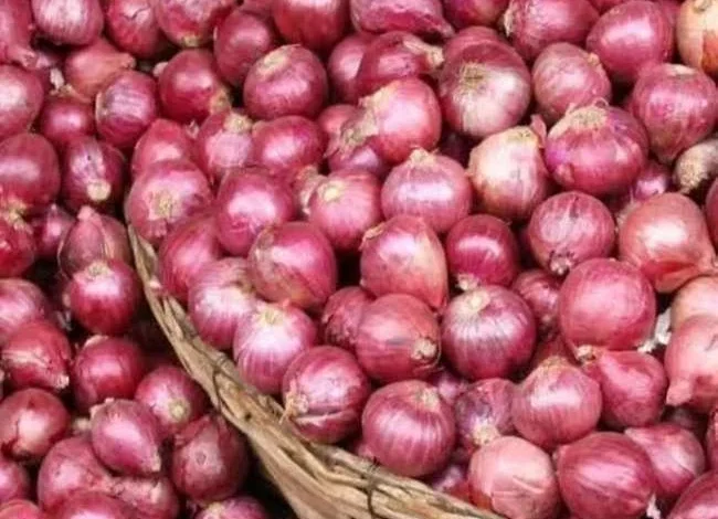 कांदा एक्सप्रेस प्याज