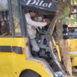 VIDEO : बस अनियंत्रित होकर पेड़ से टकराई, 6 मौतें, 15 से ज़्यादा यात्री घायल