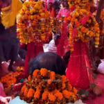 Muriya darbar : कोई राष्ट्रपति पहली बार देखेगा मुरिया दरबार..इस वीडियो में जानिए क्या है मुरिया दरबार और उसका इतिहास See Video