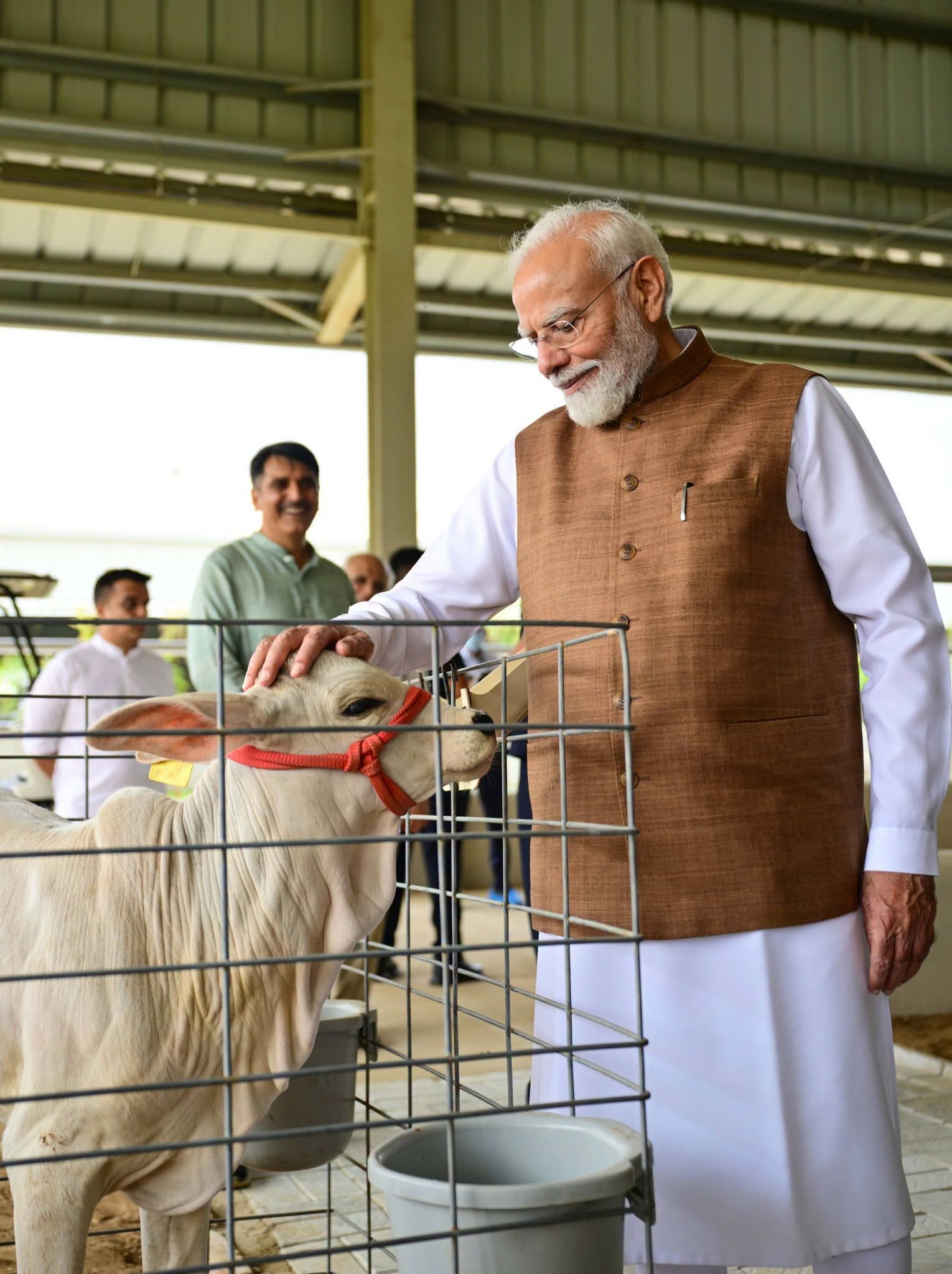 BBBRC : एक साल में कई बछड़ों को जन्म देंगी गाय-भैंसे ! 325 करोड़ की लागत से 127 एकड़ भूमि में बना है पशु प्रजनन केंद्र, पीएम मोदी ने किया उदघाटन, ब्रीडिंग सेंटर का एक्सक्लुजिव वीडियो