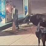 बदले की आग में पेट्रोल पंप खाक करने पहुंचा, CCTV में आग लगाता संदिग्ध कैद, एफआईआर दर्ज
