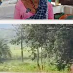 तेंदुए का खूनी हमला, दो महिलाओं समेत तीन घायल, वन विभाग की टीम रेस्क्यू में लगी