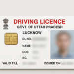 Driving License अब 75 प्रतिशत अंक मिलने पर ही बनेगा ड्राइविंग लाइसेंस, विदेशी और भारतीयों के अलग रंग के होंगे लायसेंस, सड़क परिवहन मंत्रालय ने जारी किया ड्राफ्ट