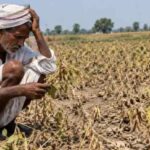 Maharashtra Farmer Crisis: सूखे से तबाह हुई खेती, परिवार का खर्च और बच्चों की पढ़ाई पर संकट; किसानों की बढ़ी मुश्किलें