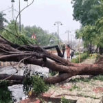 चक्रवात अर्नब: ओडिशा के कई जिलों में अलर्ट; आंधी से उखड़े सैकड़ों पेड़-खंभे