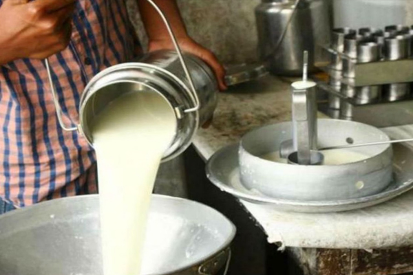 नकली दूध के काले कारोबार का भंडाफोड़: यूरिया और पाम ऑयल समेत अन्य सामग्री जब्त, आरोपी फरार