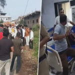 जवारे विसर्जन के जुलूस में टूटीं मधुमक्खियां, अफरा-तफरी के बीच 15 लोग घायल…