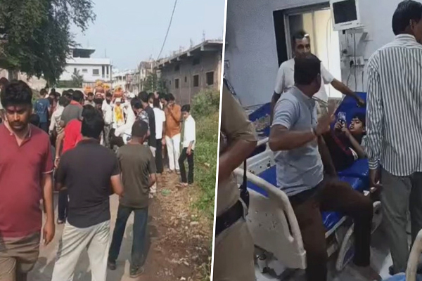 जवारे विसर्जन के जुलूस में टूटीं मधुमक्खियां, अफरा-तफरी के बीच 15 लोग घायल…