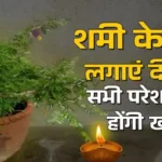 दशहरा 2026 के उपाय: शमी के नीचे दीपक से लेकर पत्तों पर ‘जय श्री राम’ लिखने तक, जानें परंपरा
