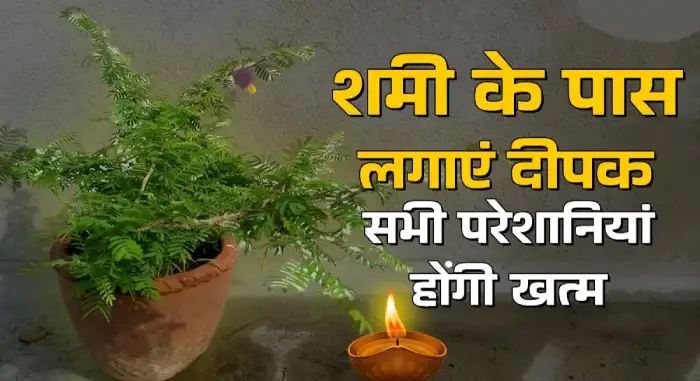 दशहरा 2026: शमी के नीचे दीपक से लेकर पत्तों पर 'जय श्री राम' लिखने तक, जानें परंपरा