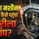 जज के आवास पर वाशिंग मशीन में छिपा मिला कोबरा, देखकर उड़ गए लोगों के होश