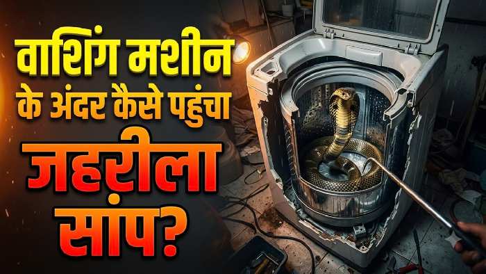 जज के आवास पर वाशिंग मशीन में छिपा मिला कोबरा, देखकर उड़ गए लोगों के होश